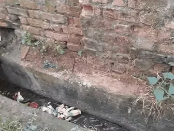 comp-171-1_1761893672