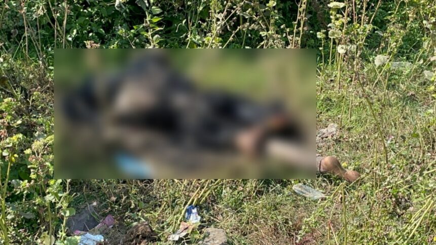 WhatsApp-Image-2025-11-07-at-3.40.28-PM-860x484