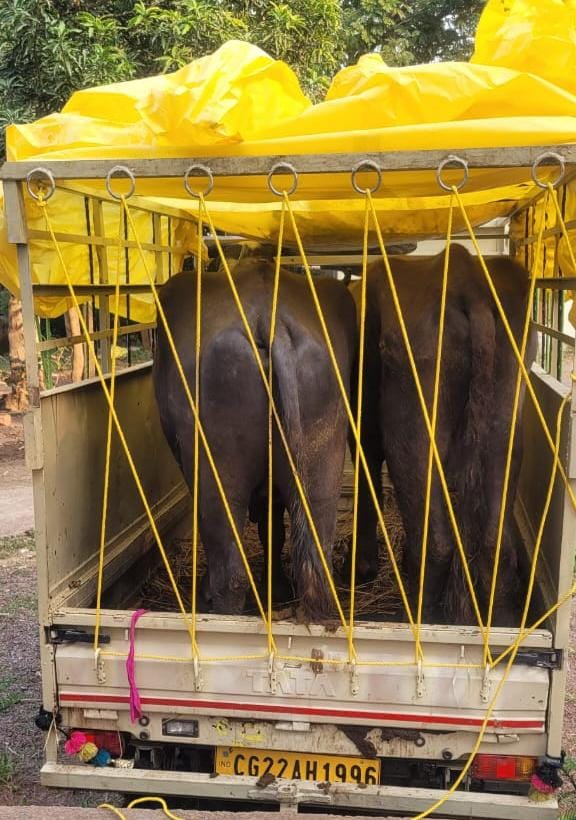 WhatsApp Image 2025-11-28 at 22.27.30_35abf3d4