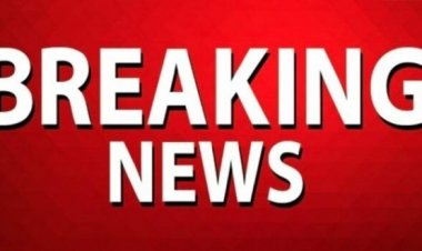 image_380x226_6909ddaf36637