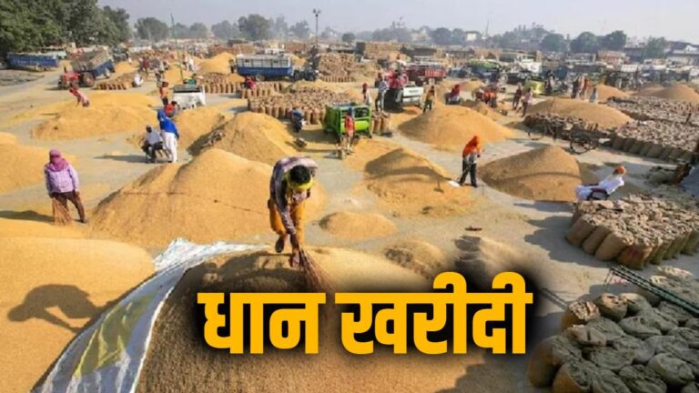 धान-खरीदी