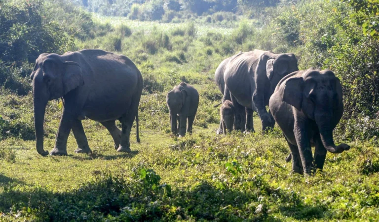 2025-12-20-11-54-30-20-20