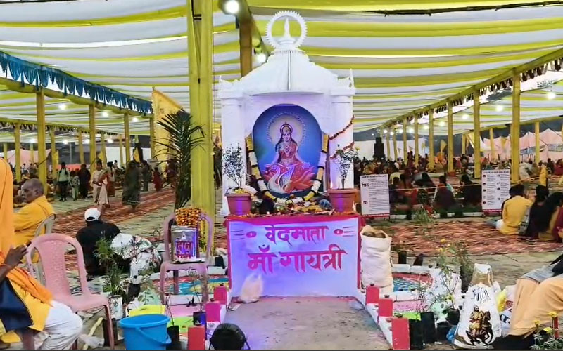 Untitled-1-Recovered