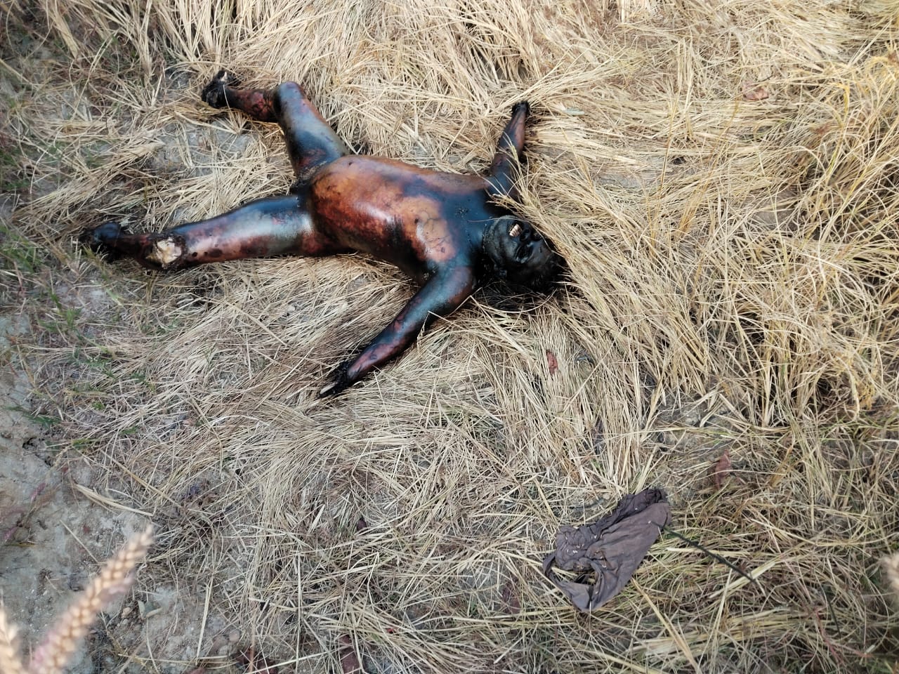 WhatsApp Image 2025-12-01 at 17.28.58_9c00dc7f