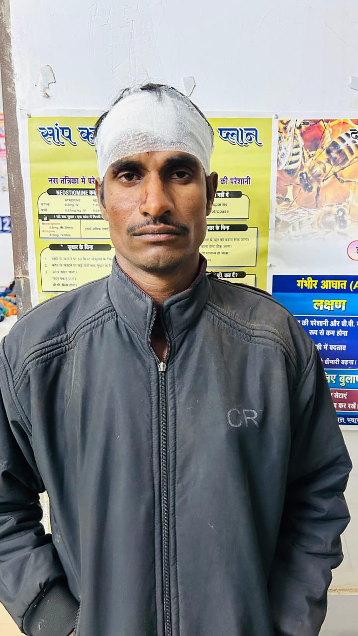 WhatsApp Image 2025-12-01 at 17.33.48_ada022bf