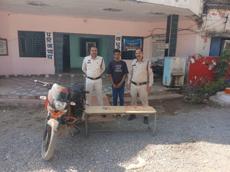 WhatsApp Image 2025-12-08 at 18.19.57_ac81255d