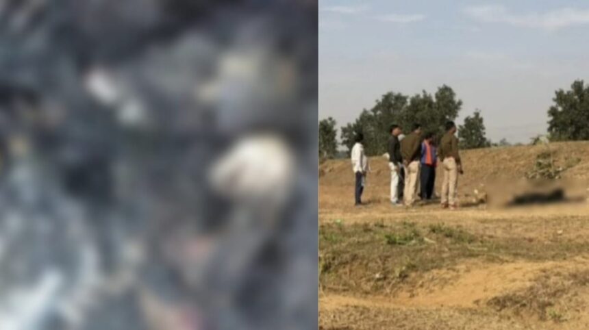 WhatsApp-Image-2025-12-08-at-2.06.01-PM-860x482