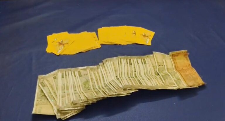 WhatsApp Image 2025-12-10 at 23.14.58_6d3c4371