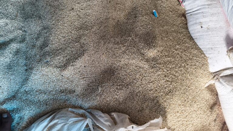 WhatsApp Image 2025-12-13 at 19.54.16_a1326b2a