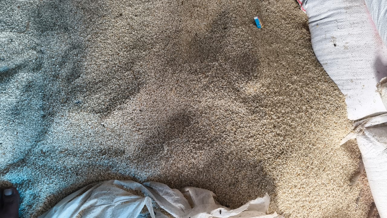 WhatsApp Image 2025-12-13 at 19.54.16_a1326b2a