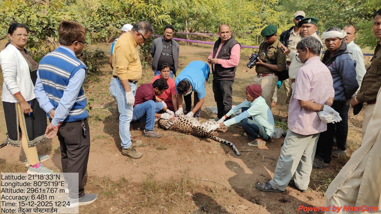 WhatsApp Image 2025-12-16 at 7.20.13 PM