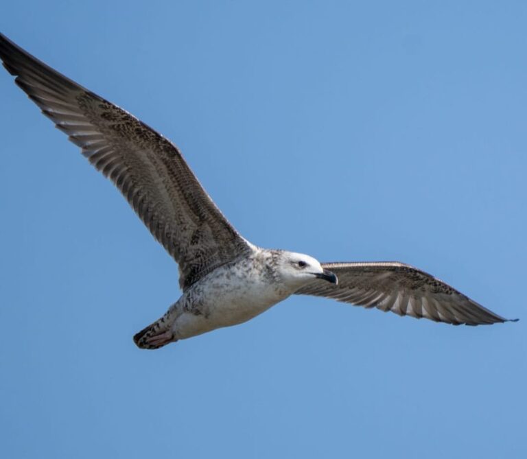 WhatsApp Image 2025-12-16 at 7.24.40 PM (1)