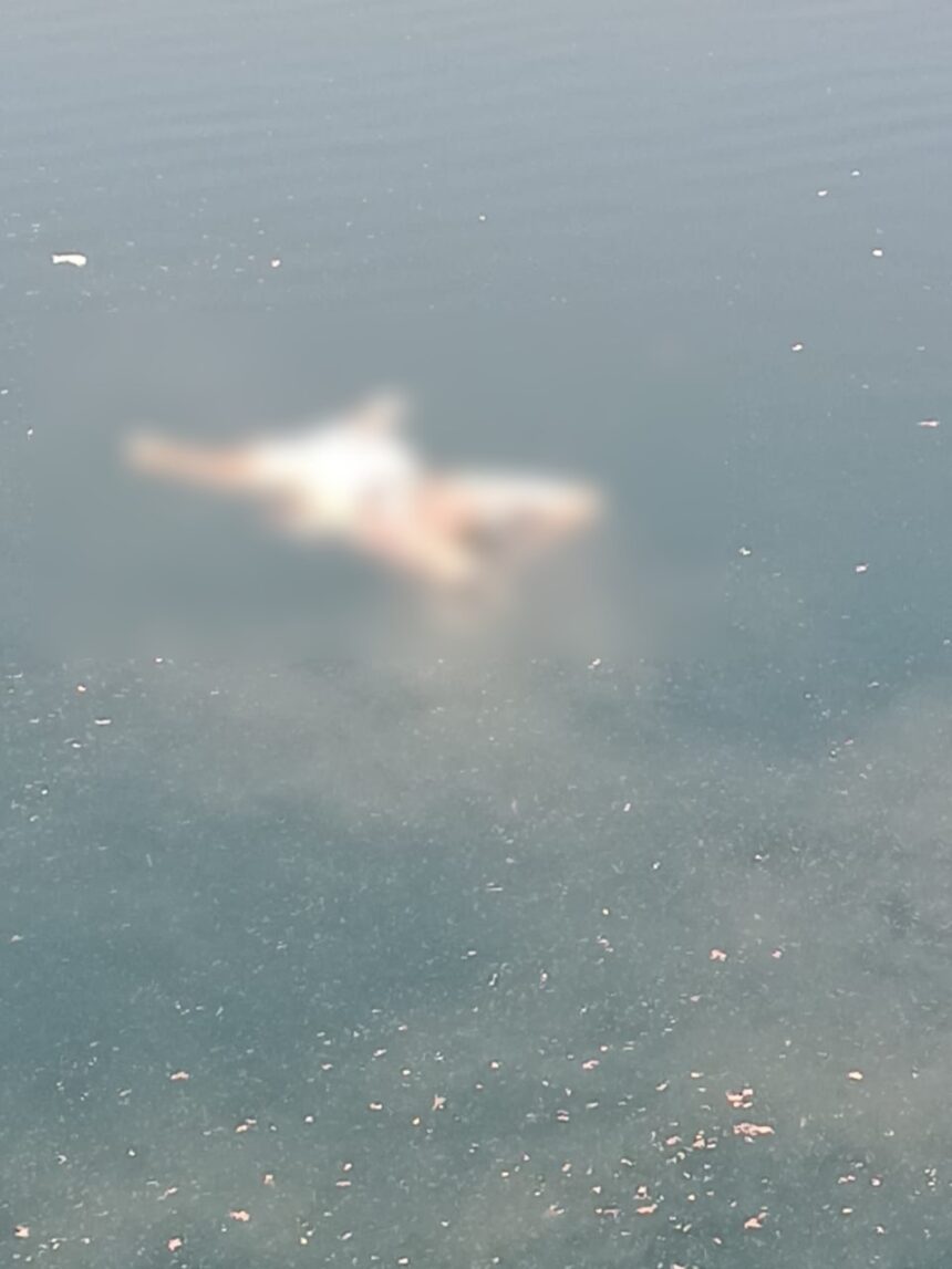 WhatsApp-Image-2025-12-22-at-2.31.50-PM-860x1147