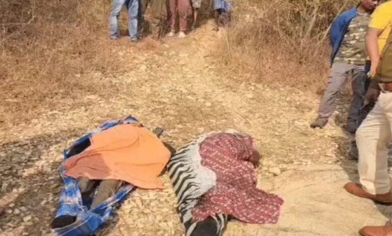 image-2025-12-20T104928.360-780x470