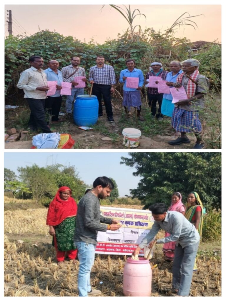 20260101_081555-COLLAGE