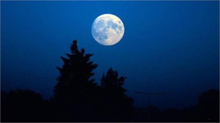 2026_1image_12_00_214240374purnima-ll