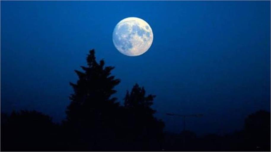 2026_1image_12_00_214240374purnima-ll