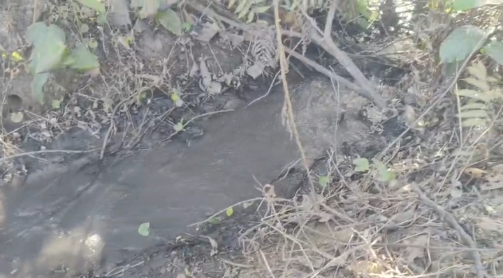 Screenshot_2026-01-21-17-48-28-78_6012fa4d4ddec268fc5c7112cbb265e7