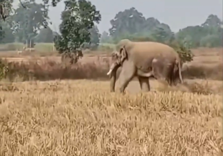 Screenshot_2026-01-22-16-56-22-20_6012fa4d4ddec268fc5c7112cbb265e7