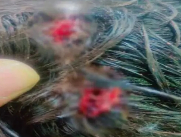 Screenshot_2026-01-27-18-58-36-56_40deb401b9ffe8e1df2f1cc5ba480b12