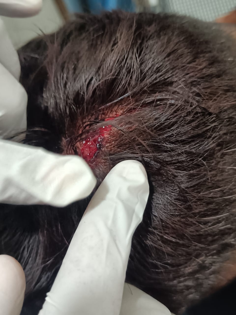 WhatsApp Image 2026-01-04 at 7.23.39 PM