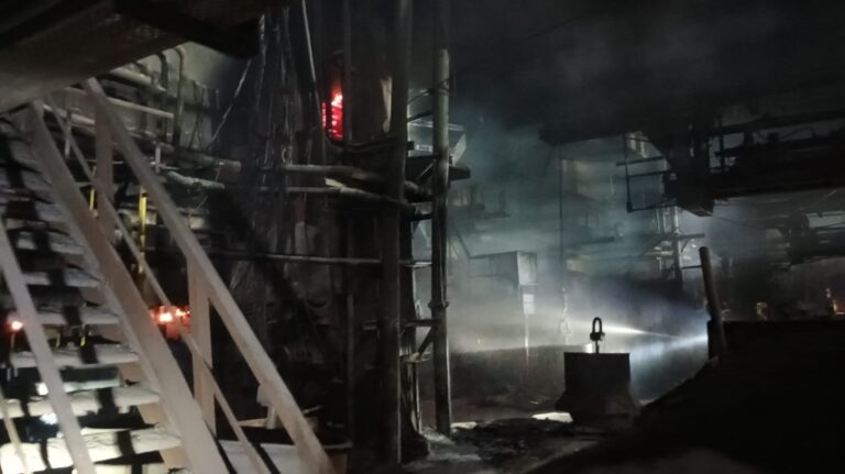 WhatsApp Image 2026-01-13 at 1.21.08 PM