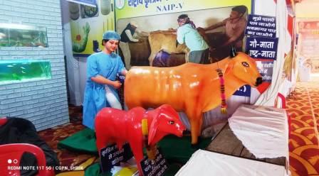 20260207200111_pashudhan stol