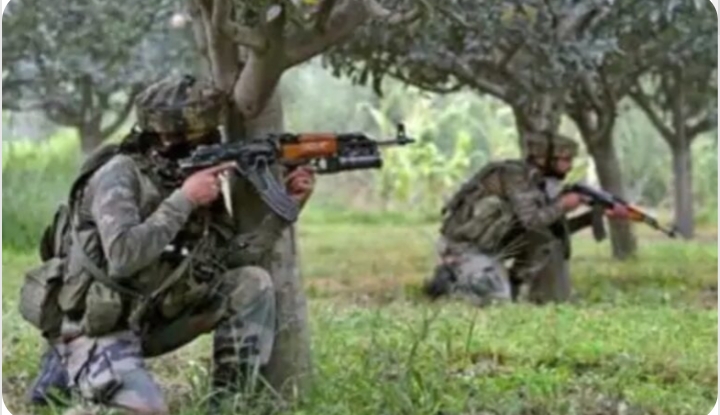 Screenshot_2026-02-01-14-32-13-92_40deb401b9ffe8e1df2f1cc5ba480b12