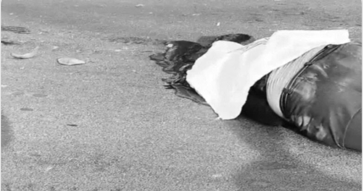 Screenshot_2026-02-06-14-58-38-36_40deb401b9ffe8e1df2f1cc5ba480b12