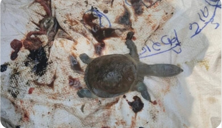 Screenshot_2026-02-15-14-26-27-44_40deb401b9ffe8e1df2f1cc5ba480b12