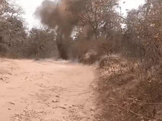 Screenshot_2026-02-20-10-39-16-07_40deb401b9ffe8e1df2f1cc5ba480b12