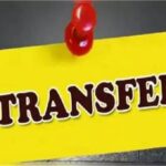 2025_10image_12_54_444300567untitled1-ll