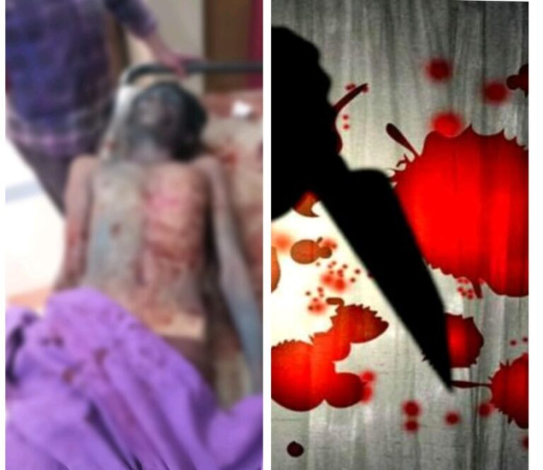 IMG_20260304_145233-860x745