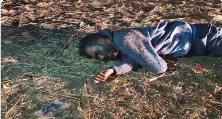 Screenshot_2026-03-16-13-32-15-53_40deb401b9ffe8e1df2f1cc5ba480b12