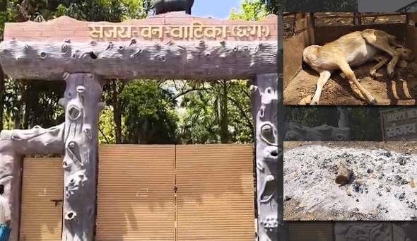 Screenshot_2026-03-23-05-30-31-49_40deb401b9ffe8e1df2f1cc5ba480b12