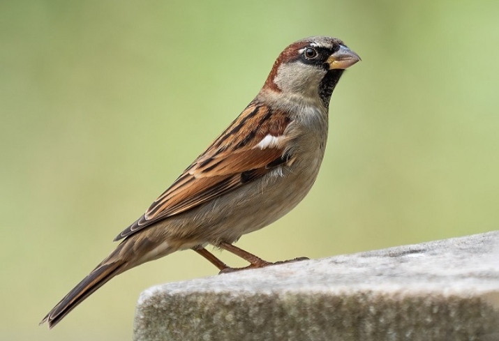 Screenshot_2026-03-24-07-39-35-39_40deb401b9ffe8e1df2f1cc5ba480b12