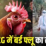 Screenshot_2026-03-26-17-53-34-45_40deb401b9ffe8e1df2f1cc5ba480b12