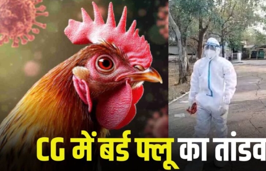 Screenshot_2026-03-26-17-53-34-45_40deb401b9ffe8e1df2f1cc5ba480b12