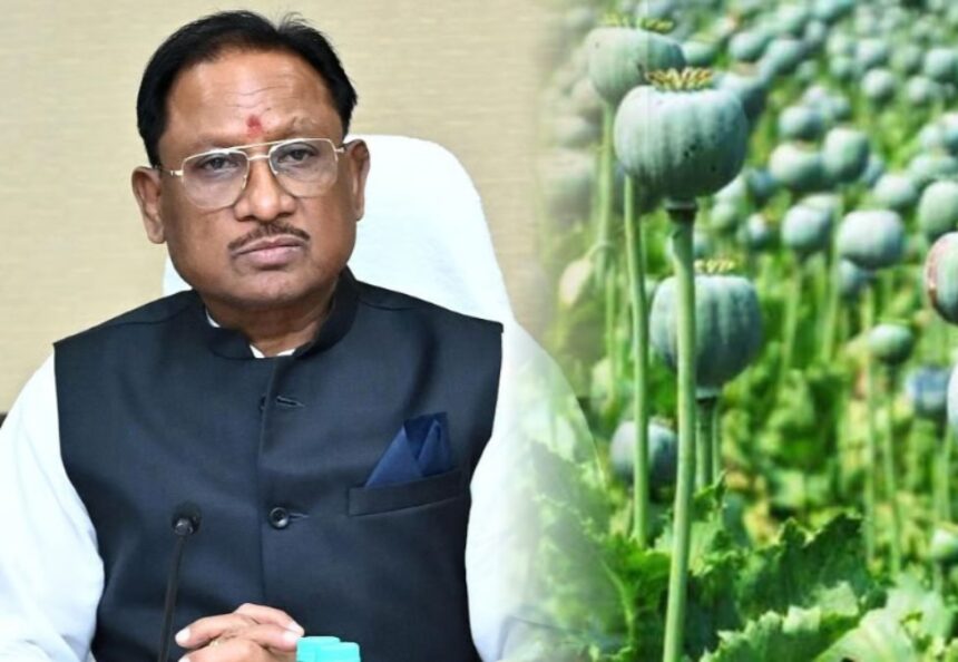 WhatsApp-Image-2026-03-12-at-19.55.41-860x594